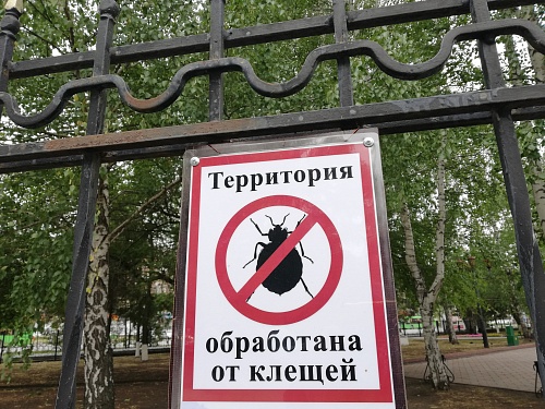 В Тюменской области более 900 детей пострадали от укусов клещей