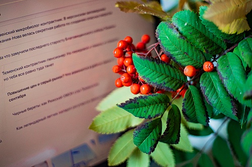 Пока вы спали: возвращение к работе завода Volvo в Калуге, тюремный срок за сбор грибов и ожидание первого снега