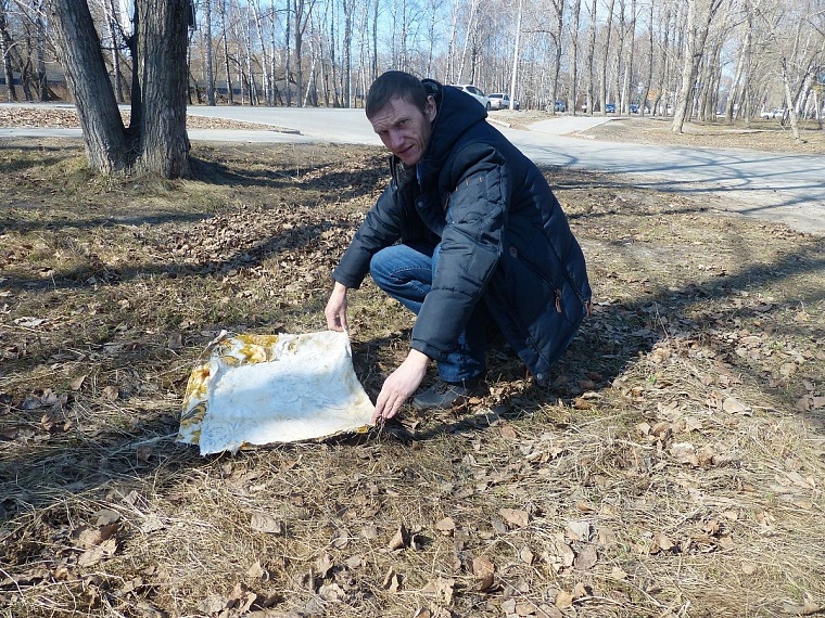 Клещей можно подцепить даже у дороги