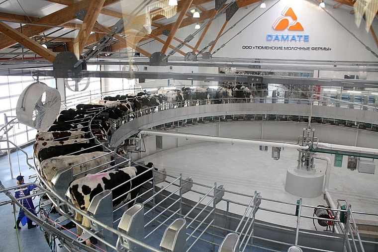 Что построил Владимир Якушев за 13 лет