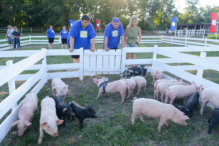 Эксперты шоу «Взвешенные люди» дают полезные советы по избавлению от лишнего веса