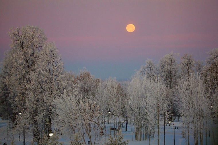 Аптекарский сад стал для тоболяков местом встреч и знакомств