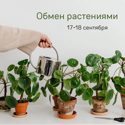 Цветоводов Тюмени зовут обменяться растениями