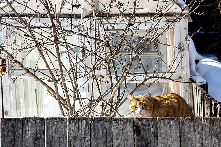 Народные приметы: хорошая погода обещает пригожее лето