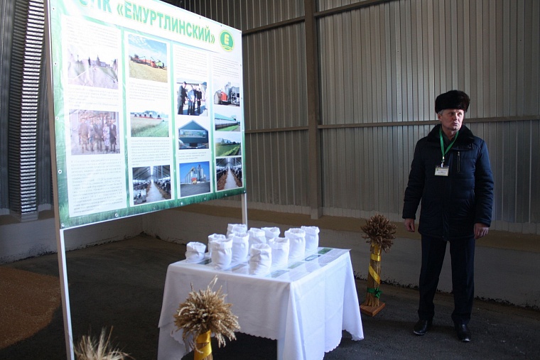 Район повышенной эффективности