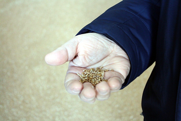 Район повышенной эффективности