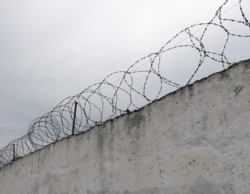 Алексей Навальный умер в колонии