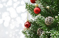 С 1 декабря жители Ямала могут срубить елку в лесничестве