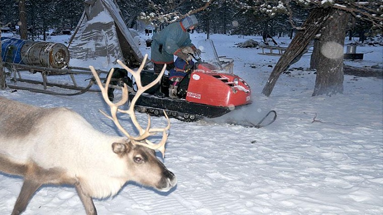 Оленеводы Ямала оскорбились из-за звания «тундровиков-миллионеров»