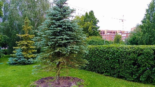 Тюменцы активно голосуют за дизайн-проекты благоустройства территорий