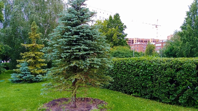 Тюменцы активно голосуют за дизайн-проекты благоустройства территорий