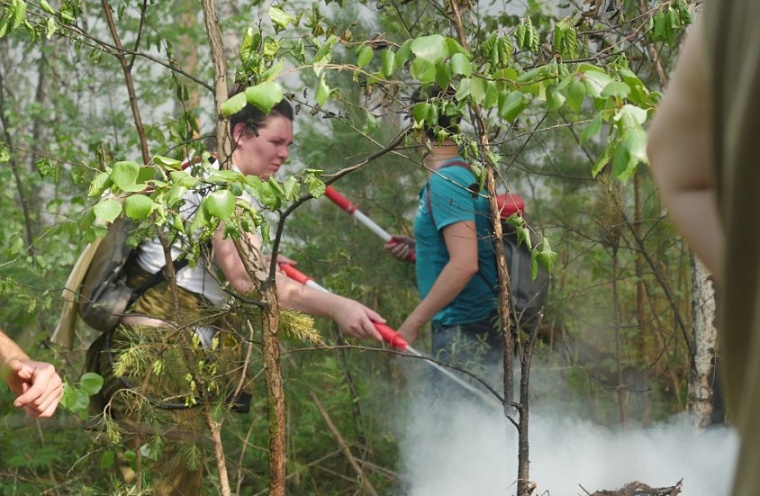 Тюменских волонтеров на время лесных пожаров будет координировать диспетчерская служба