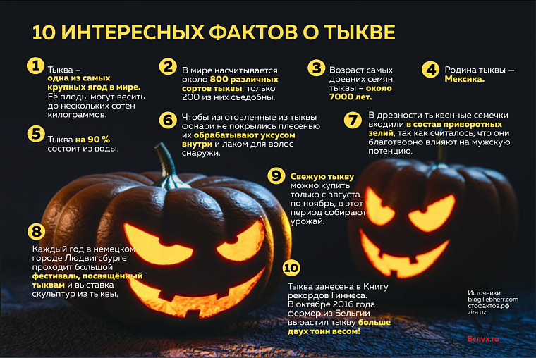 Интересные факты о тыкве
