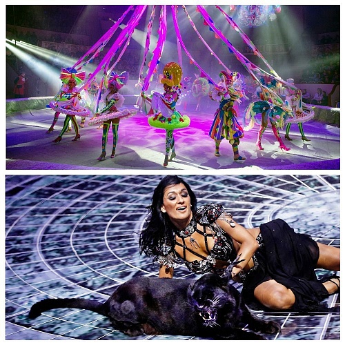 Обновленные “Баронеты” в Тюмени: свита циркового короля