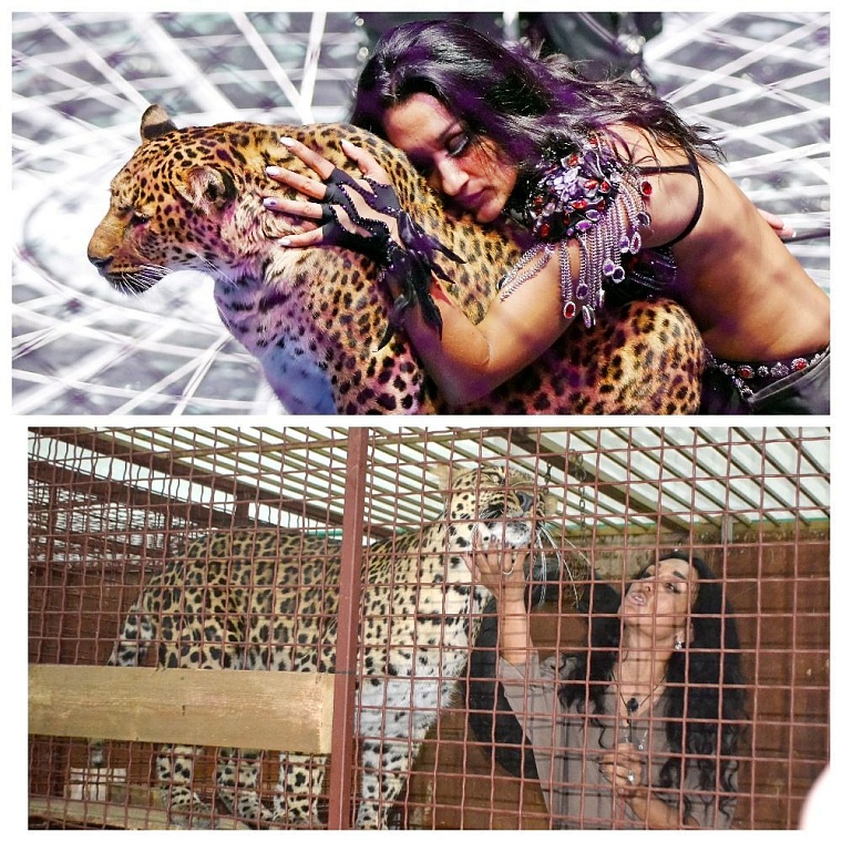 Обновленные “Баронеты” в Тюмени: свита циркового короля