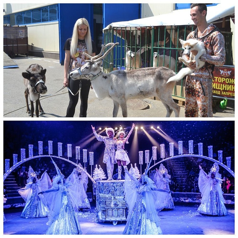 Обновленные “Баронеты” в Тюмени: свита циркового короля