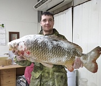 Тюменец поймал в реке рыбу весом больше 11 кг
