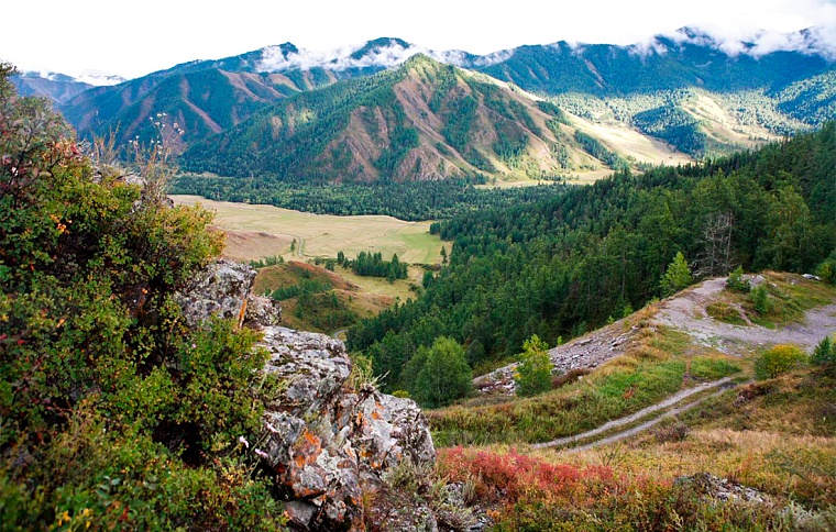 Великолепные пейзажи Алтая.