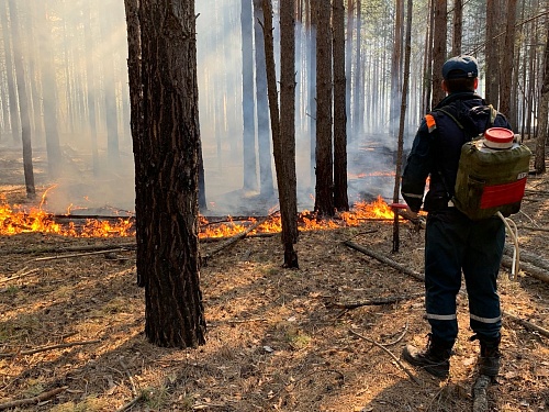 В Югре из-за грозы увеличилось число лесных пожаров