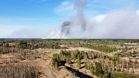 В Тюменской области наращивают применение беспилотников для охраны лесов