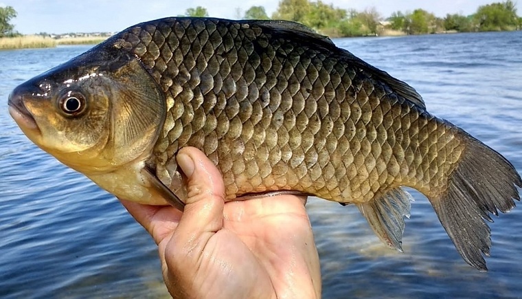 Озера в тюменском Заболотье остаются закрытыми для рыбалки