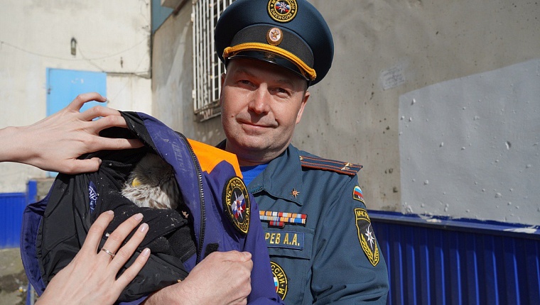 Тюменские пожарные вместе с волонтерами спасли сову