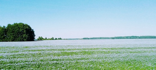 Летние Кузьминки - бабий праздник