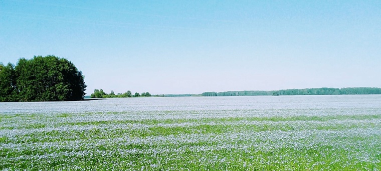 Летние Кузьминки - бабий праздник