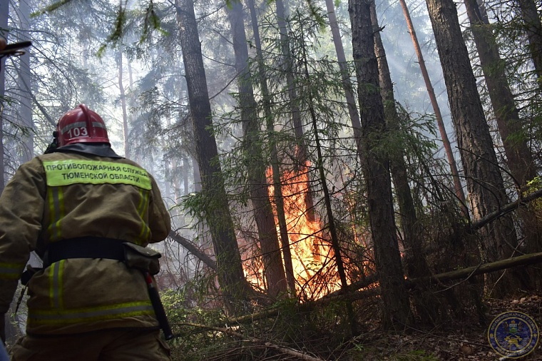 Александр Моор: Подразделения противопожарной службы "прикрывают" от огня небольшие населенные пункты