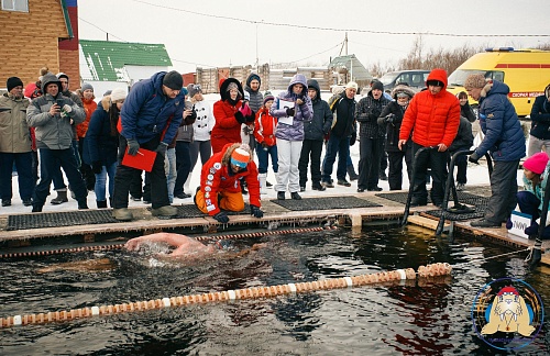 Тюменцы могут попробовать себя в зимнем плавании
