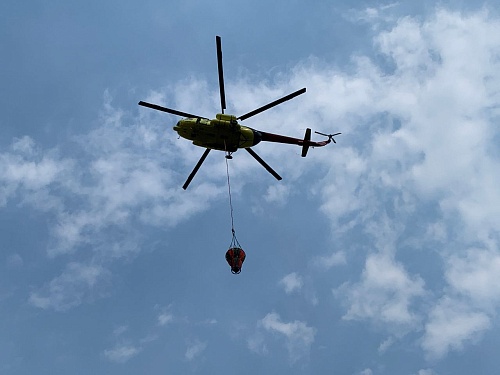 Семнадцать лесных пожаров действуют в Тюменской области