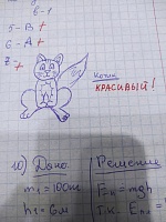 Тюменская преподавательница попросила студентов нарисовать котиков и прославилась на весь интернет