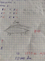 Тюменская преподавательница попросила студентов нарисовать котиков и прославилась на весь интернет