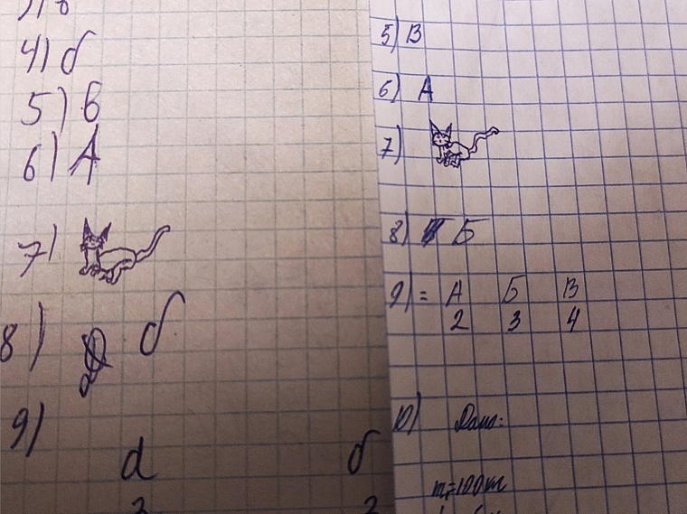 Тюменская преподавательница попросила студентов нарисовать котиков и прославилась на весь интернет