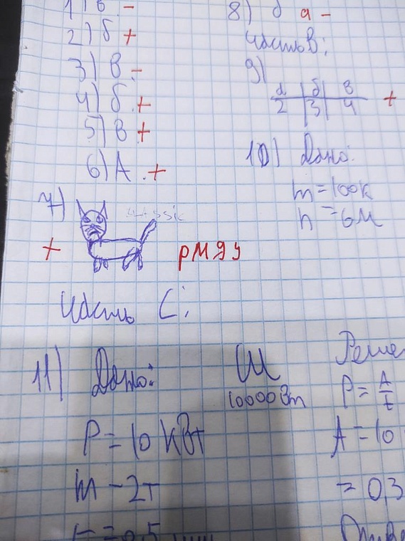 Тюменская преподавательница попросила студентов нарисовать котиков и прославилась на весь интернет