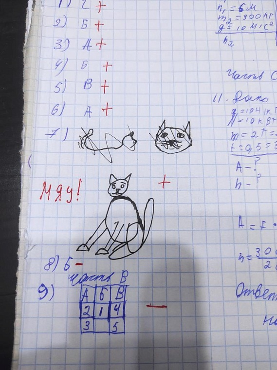 Тюменская преподавательница попросила студентов нарисовать котиков и прославилась на весь интернет