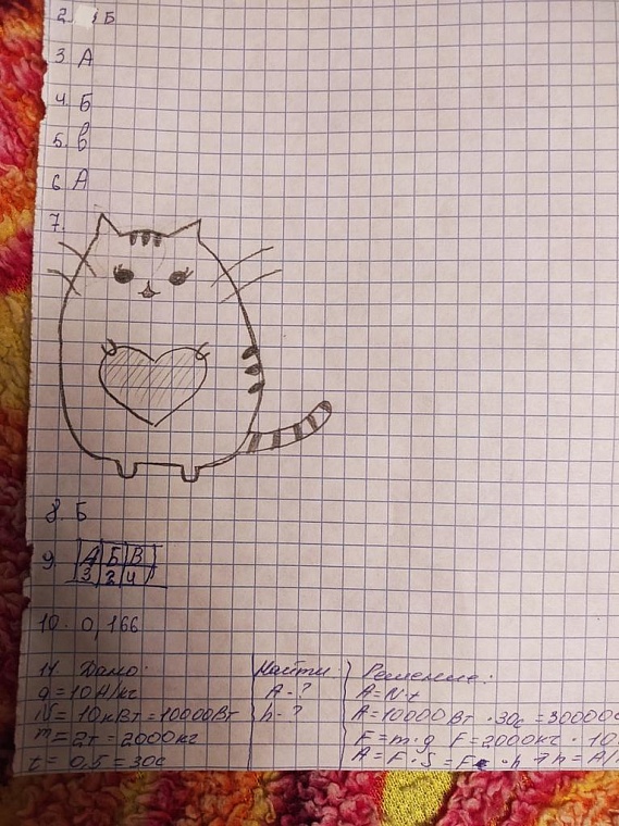 Тюменская преподавательница попросила студентов нарисовать котиков и прославилась на весь интернет