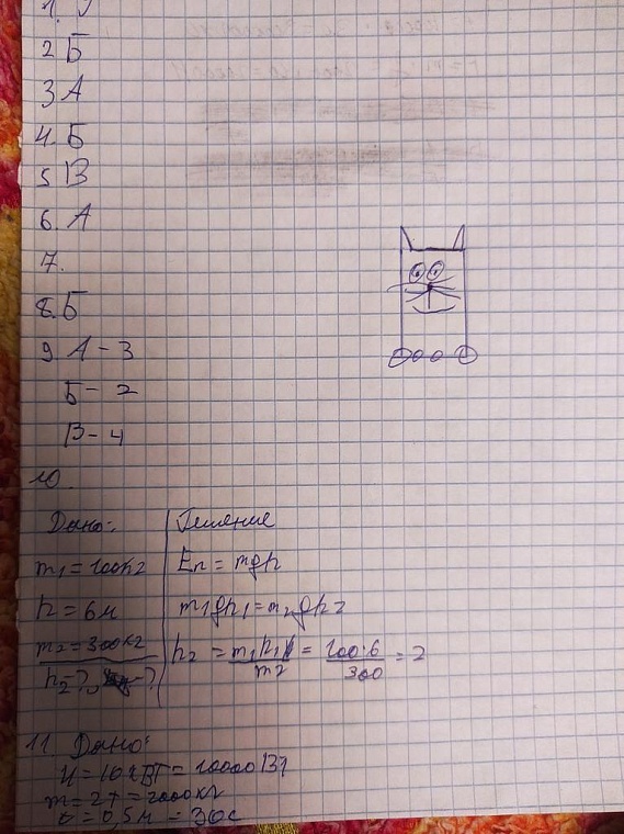 Тюменская преподавательница попросила студентов нарисовать котиков и прославилась на весь интернет