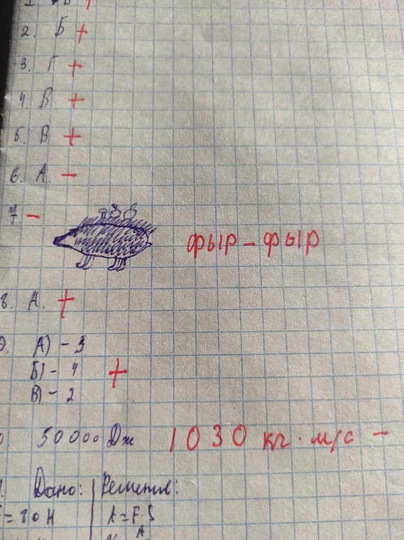 Тюменская преподавательница попросила студентов нарисовать котиков и прославилась на весь интернет