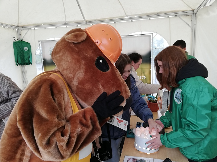 Абитуриент-2024: бюджетные места и прием документов в тюменские вузы