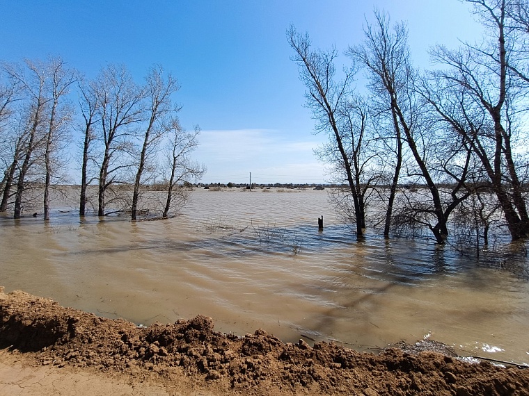 Жители ишимского Плодопитомника рассказали, как у них прорвало дамбу