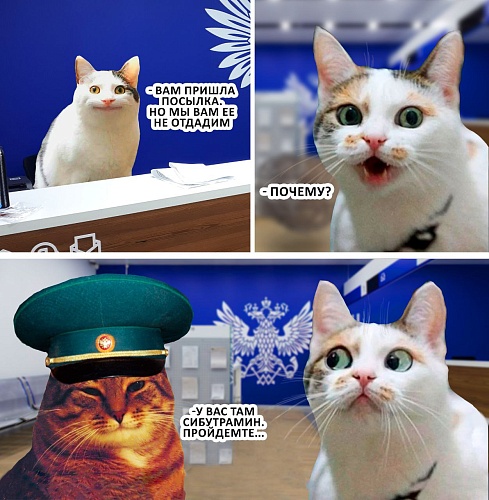 Тюменские таможенники задержали женщину с запрещенными таблетками для похудения