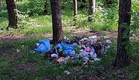 Тюменцам, выбрасывающим мусор на пляжах и в лесах, грозят штрафами