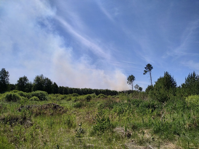 За соблюдением режима ЧС в лесах следят более тысячи патрульных групп