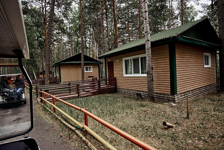 Испытано на себе: в «Кулига-парк» стоит ехать всей семьей