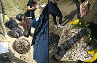 Тюменцев приглашают на борьбу с одноразовым пластиком