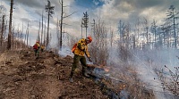 Для тушения пожаров в Тюмень приехали 449 специалистов «Ямалспаса»