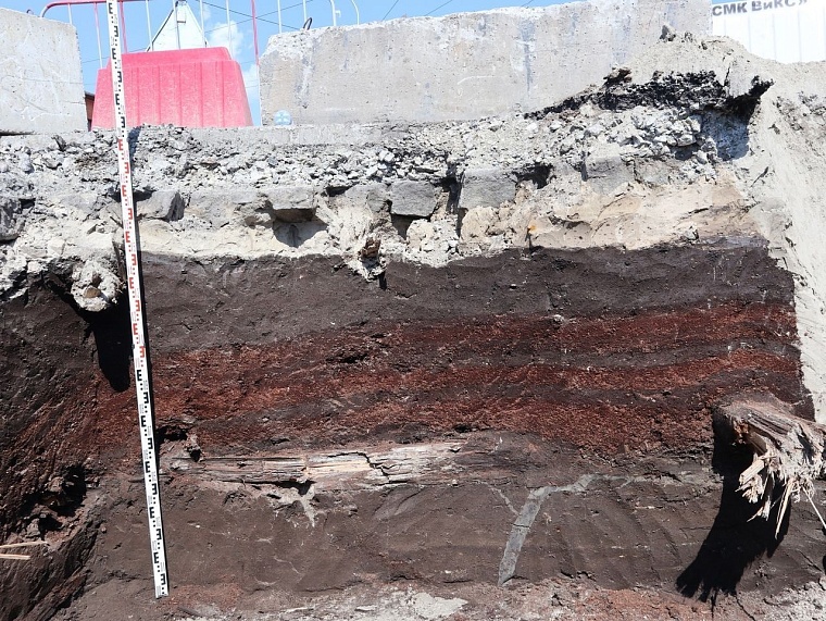 Здесь когда-то стоял дом. Коричневые полосы - слои древесного тлена. А нижние венцы попали в мокрый слой поймы и хорошо сохранились.