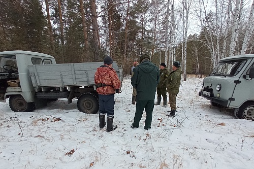 Для патрулирования тюменских лесов будут использовать квадрокоптеры