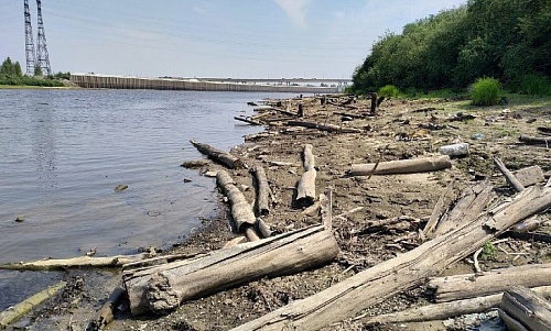 Владелец понтонной переправы в Тюмени заплатит за нанесенный природе ущерб 2,4 млн рублей